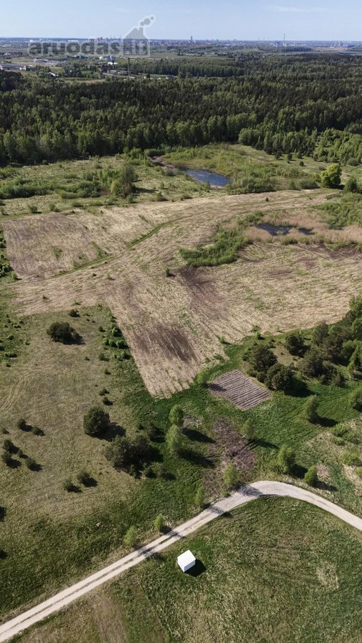 Išskirtinis 4,7 Ha Sklypas Klaipėdos Raj. - nuotraukos Nr. 12