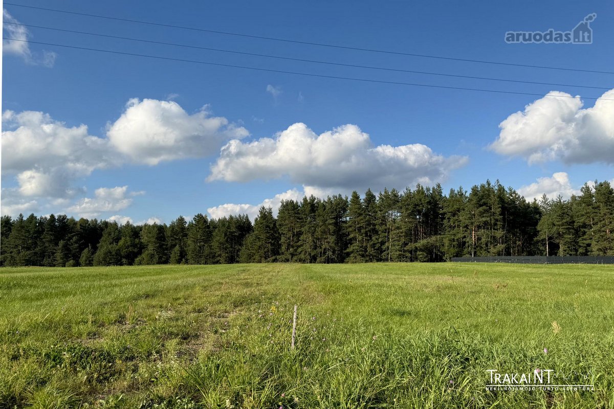 Parduodami Namų Valdos Sklypai Liepynų Kaime, - nuotraukos Nr. 16
