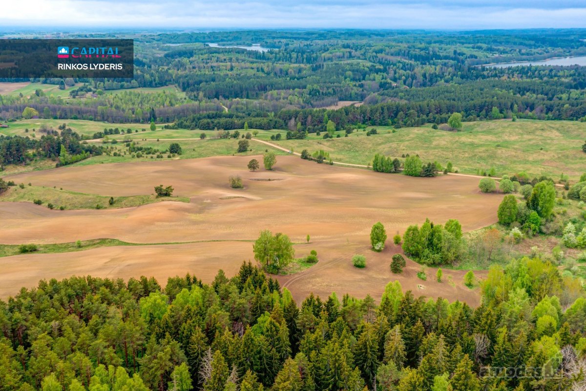 Parduodamas 9,32 ha Žemės Ūkio Paskirties - nuotraukos Nr. 3