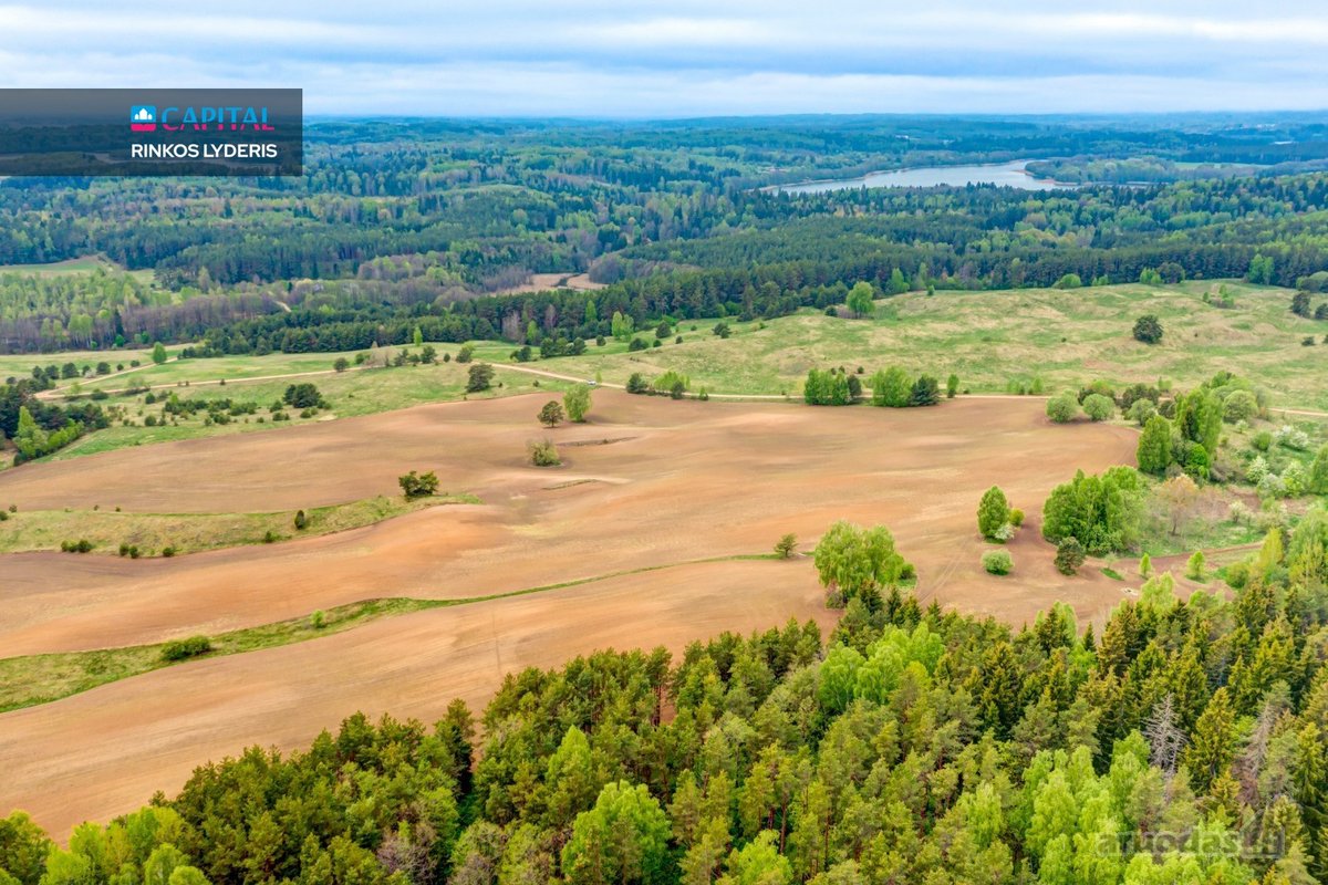 Parduodamas 9,32 ha Žemės Ūkio Paskirties - nuotraukos Nr. 4