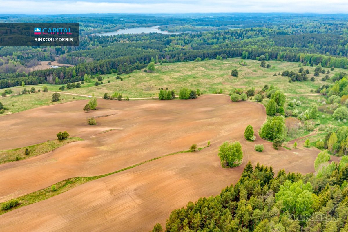 Parduodamas 9,32 ha Žemės Ūkio Paskirties - nuotraukos Nr. 5