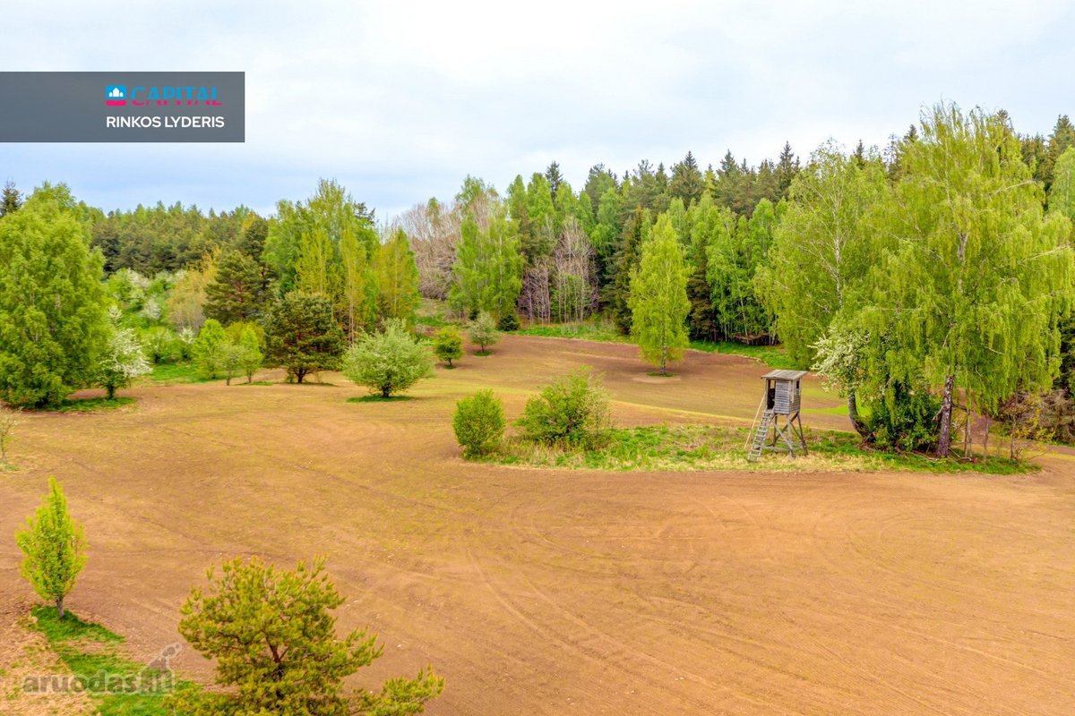 Parduodamas 9,32 ha Žemės Ūkio Paskirties - nuotraukos Nr. 6