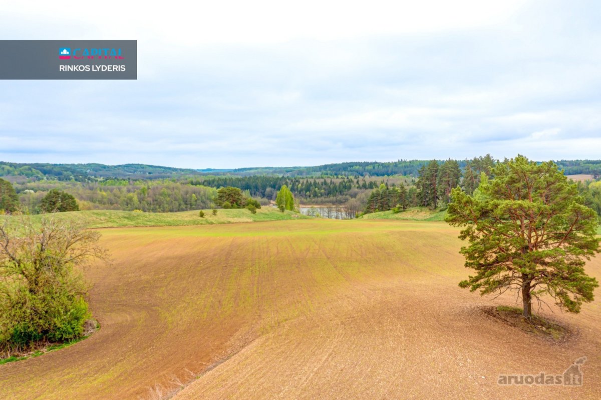 Parduodamas 9,32 ha Žemės Ūkio Paskirties - nuotraukos Nr. 7
