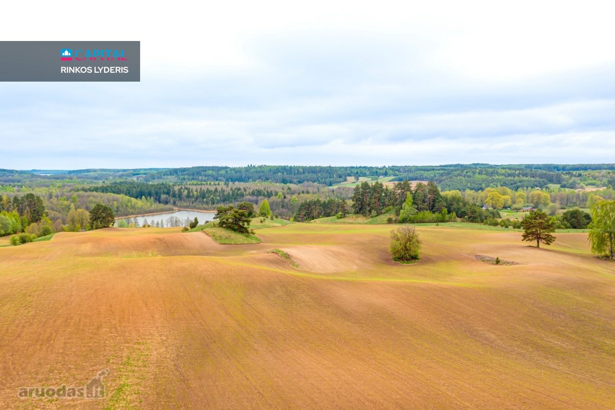 Parduodamas 9,32 ha Žemės Ūkio Paskirties - nuotraukos Nr. 8