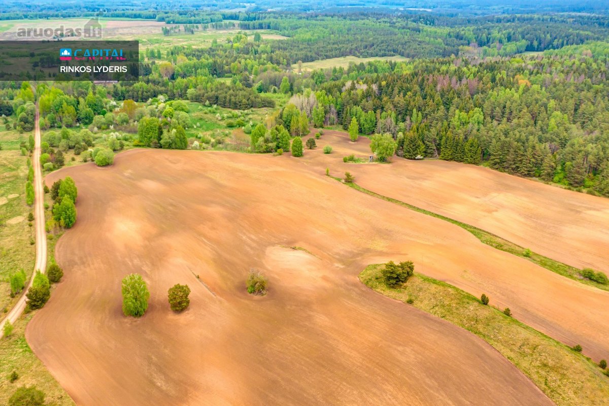 Parduodamas 9,32 ha Žemės Ūkio Paskirties - nuotraukos Nr. 10