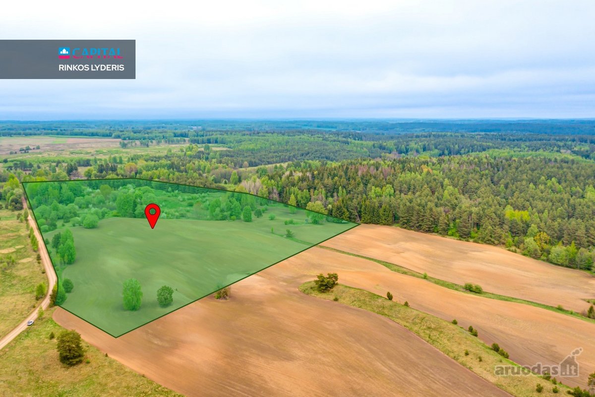 Parduodamas 9,32 ha Žemės Ūkio Paskirties - nuotraukos Nr. 11