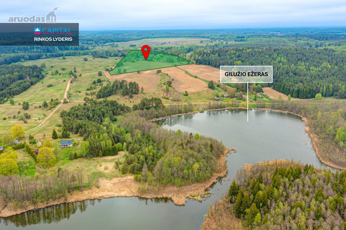 Parduodamas 9,32 ha Žemės Ūkio Paskirties - nuotraukos Nr. 13