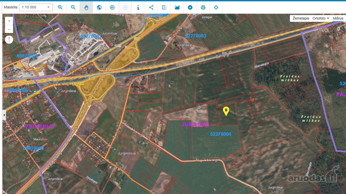 Parduodamas 3.81 Ha Investicinis Sklypas – - nuotraukos Nr. 3