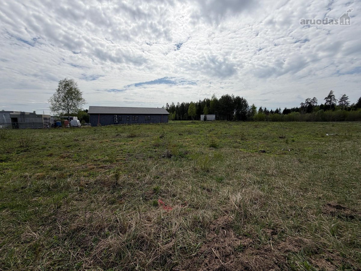 Parduodami du sklypai Laimės g. 1 (11,88 a.) - nuotraukos Nr. 4