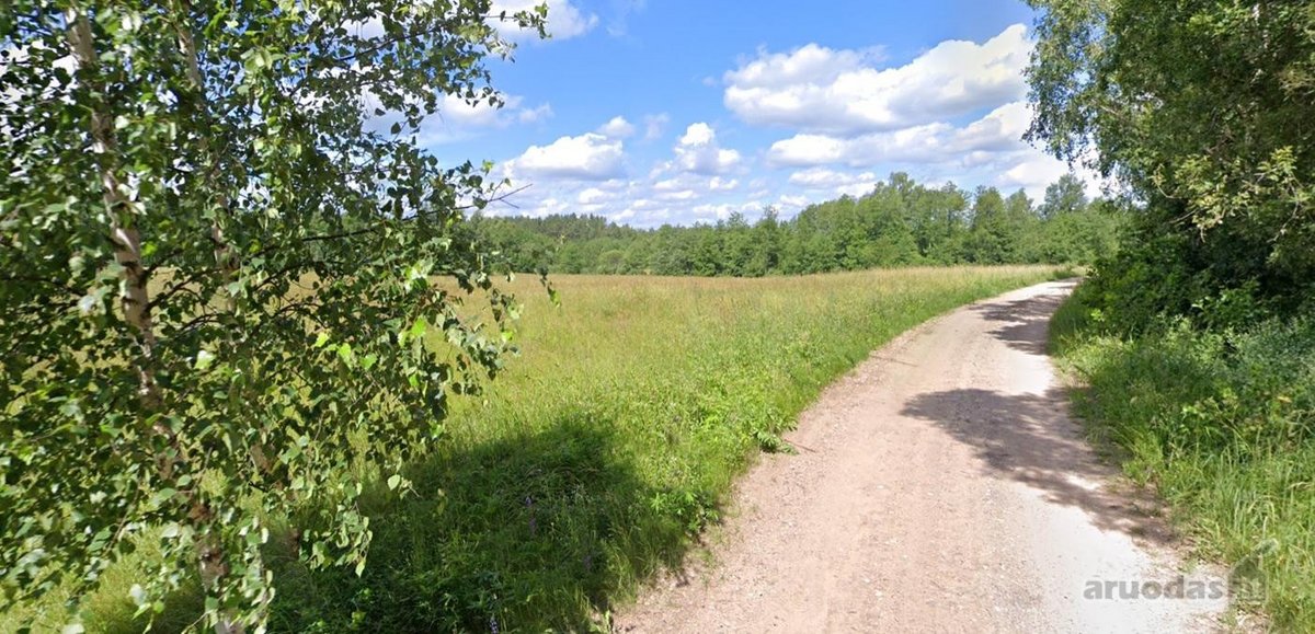 Parduodamas 1,55 ha žemės ūkio paskirties