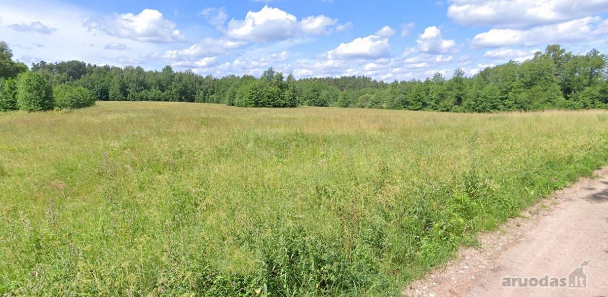 Parduodamas 1,55 ha žemės ūkio paskirties - nuotraukos Nr. 5