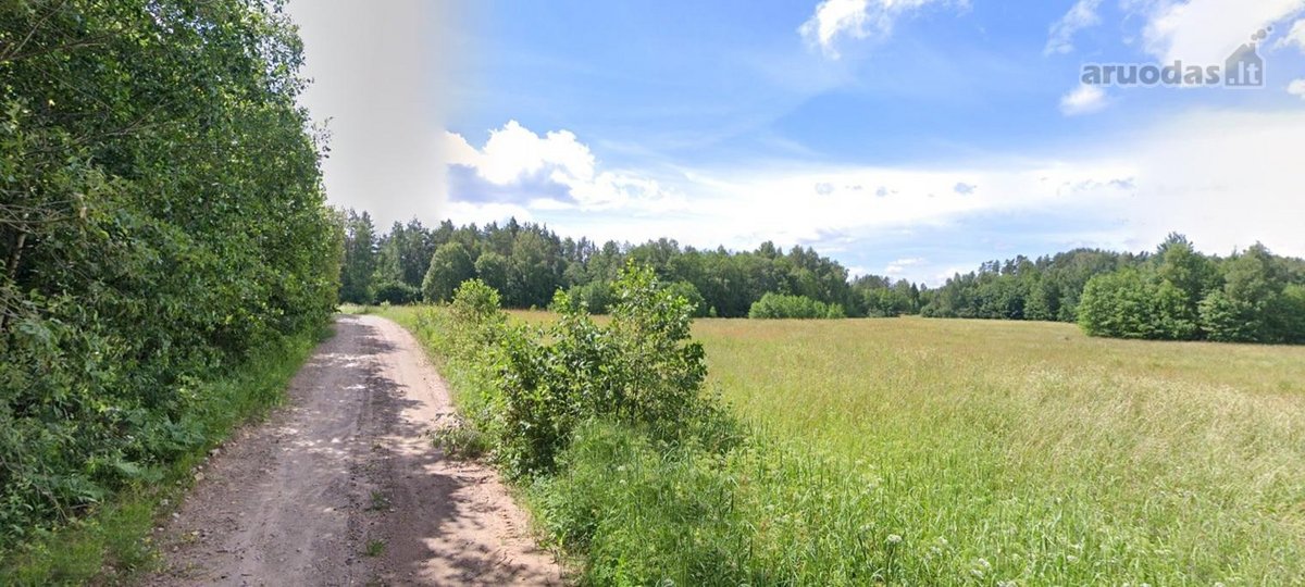 Parduodamas 1,55 ha žemės ūkio paskirties - nuotraukos Nr. 4