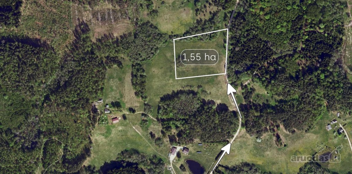 Parduodamas 1,55 ha žemės ūkio paskirties - nuotraukos Nr. 7