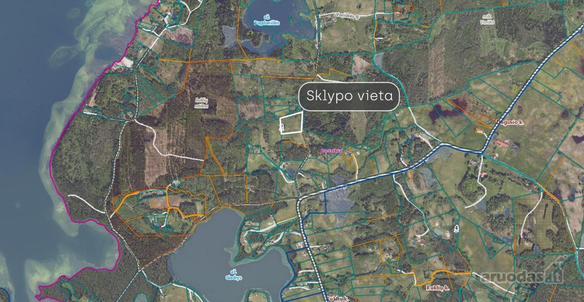 Parduodamas 1,55 ha žemės ūkio paskirties - nuotraukos Nr. 11
