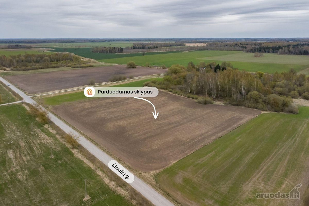 Parduodamas 2,4134 ha žemės ūkio paskirties