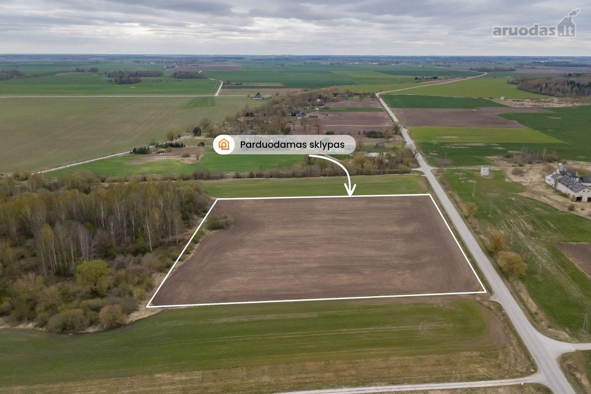 Parduodamas 2,4134 ha žemės ūkio paskirties - nuotraukos Nr. 2