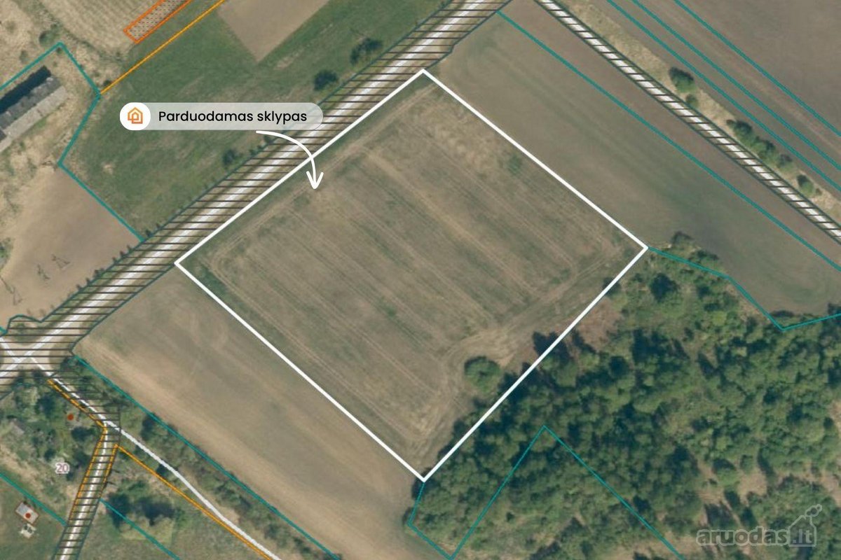 Parduodamas 2,4134 ha žemės ūkio paskirties - nuotraukos Nr. 5