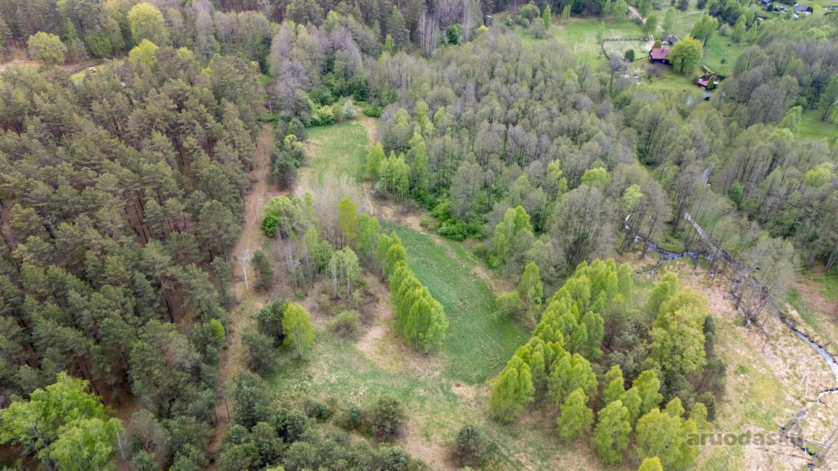 57 A Namų Valdos Sklypas Miško Apsuptyje – - nuotraukos Nr. 6