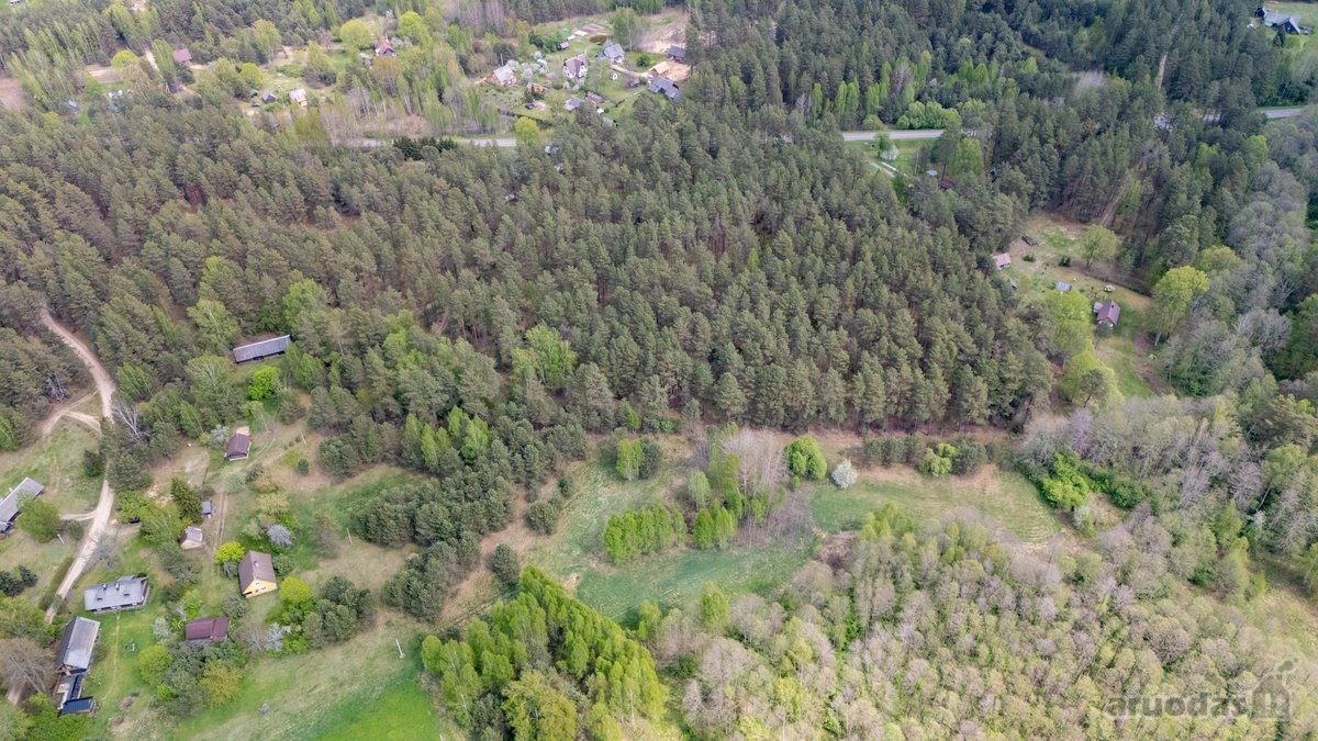 57 A Namų Valdos Sklypas Miško Apsuptyje – - nuotraukos Nr. 7