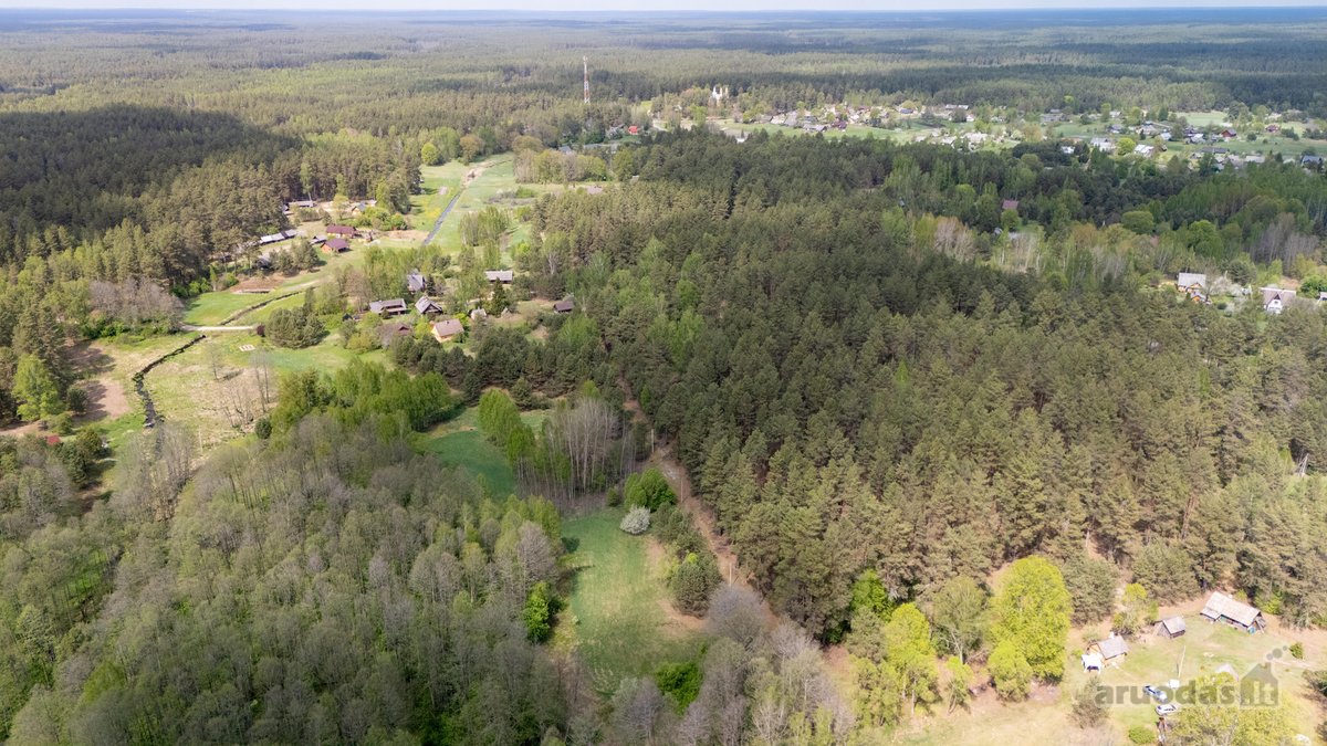 57 A Namų Valdos Sklypas Miško Apsuptyje – - nuotraukos Nr. 8