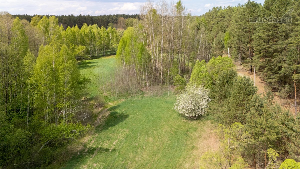 57 A Namų Valdos Sklypas Miško Apsuptyje – - nuotraukos Nr. 9