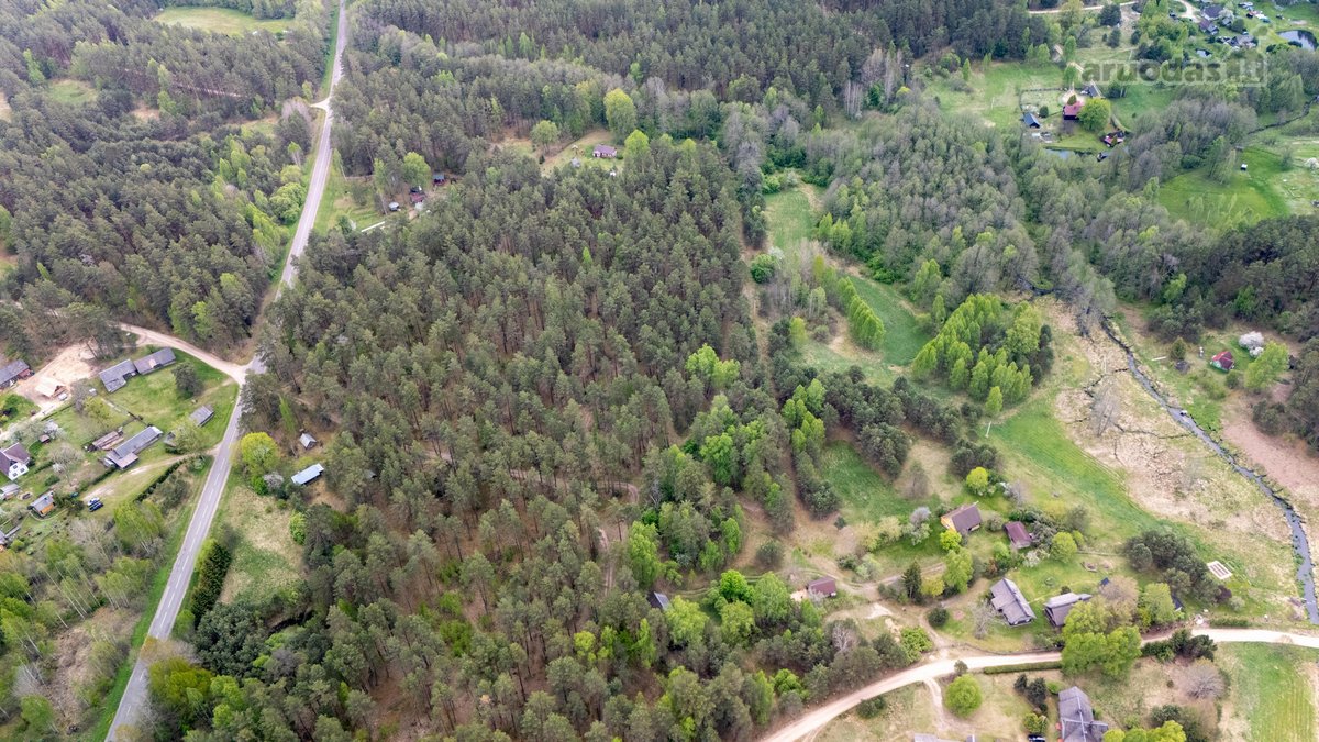 57 A Namų Valdos Sklypas Miško Apsuptyje – - nuotraukos Nr. 11
