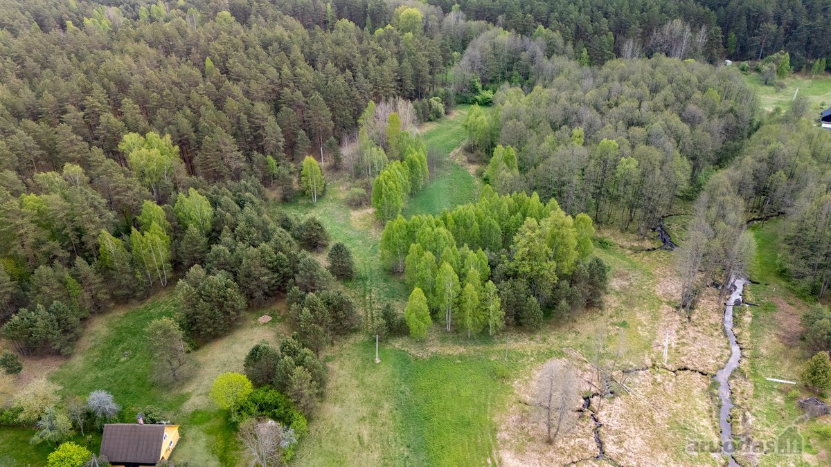 57 A Namų Valdos Sklypas Miško Apsuptyje – - nuotraukos Nr. 12