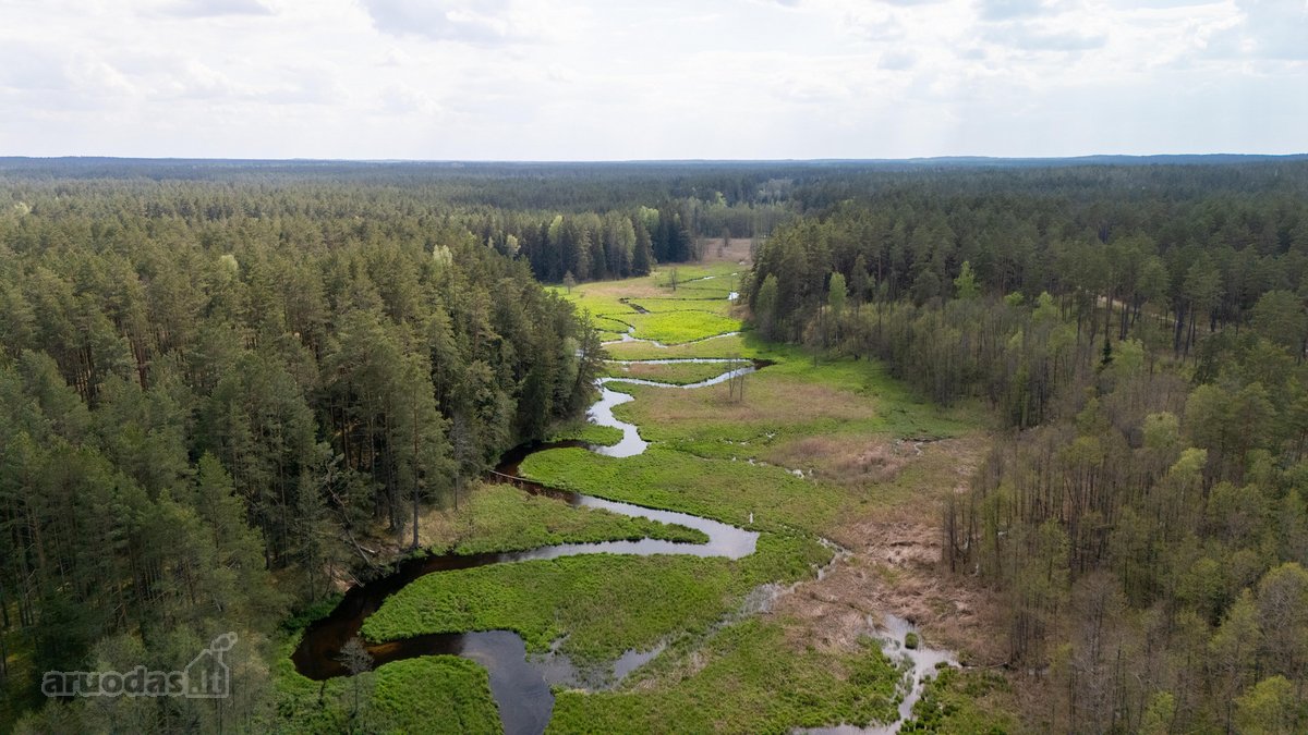 57 A Namų Valdos Sklypas Miško Apsuptyje – - nuotraukos Nr. 16