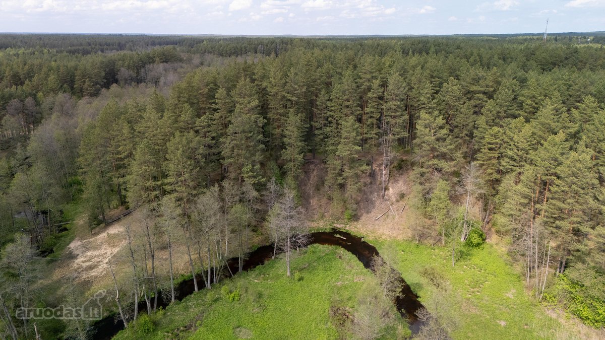 57 A Namų Valdos Sklypas Miško Apsuptyje – - nuotraukos Nr. 18
