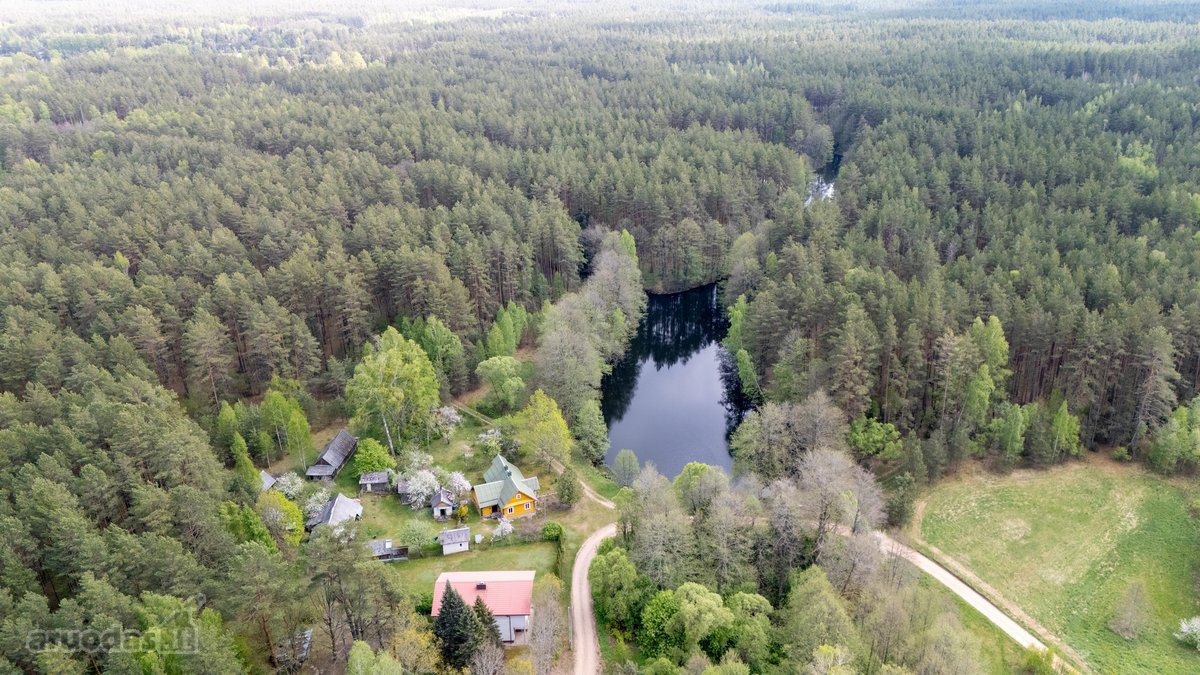 57 A Namų Valdos Sklypas Miško Apsuptyje – - nuotraukos Nr. 20