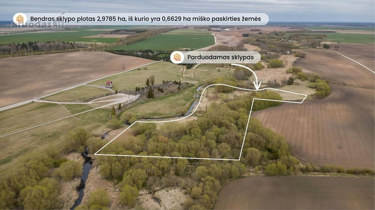 Parduodamas 2,9785 ha žemės sklypas - nuotraukos Nr. 3