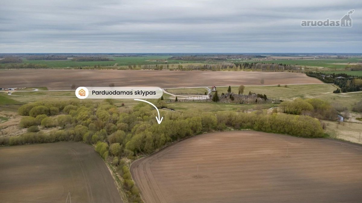 Parduodamas 2,9785 ha žemės sklypas - nuotraukos Nr. 4