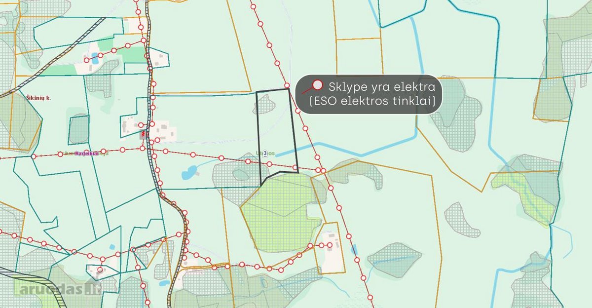 Parduodamas 2,90 ha žemės ūkio paskirties - nuotraukos Nr. 3