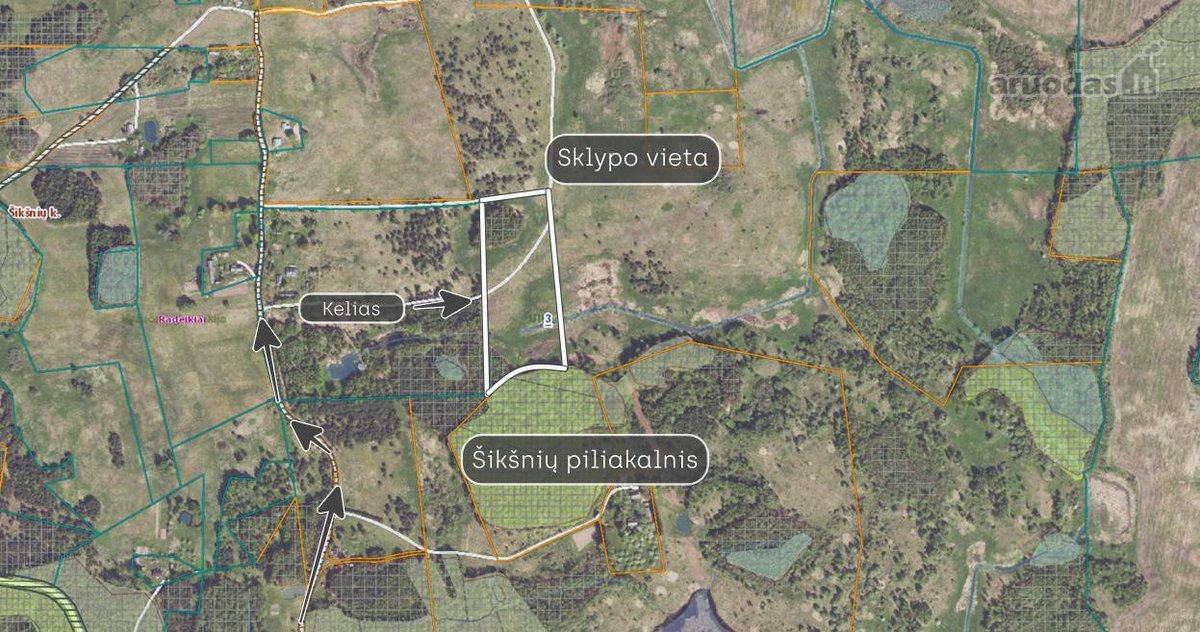 Parduodamas 2,90 ha žemės ūkio paskirties - nuotraukos Nr. 8