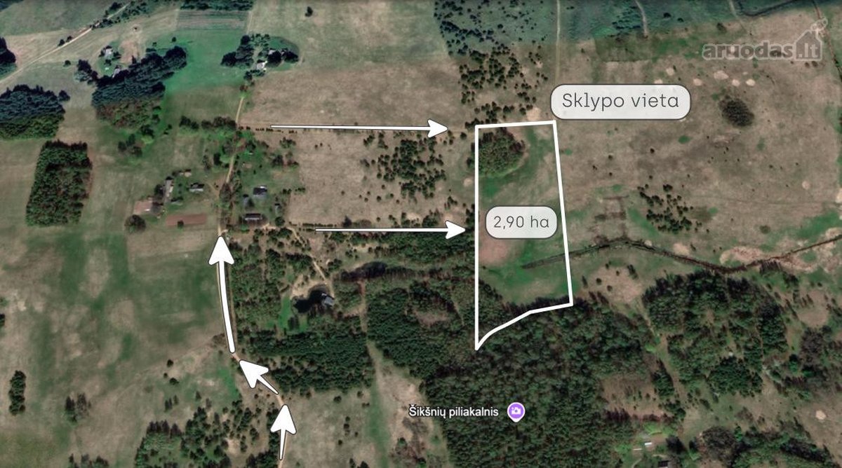Parduodamas 2,90 ha žemės ūkio paskirties - nuotraukos Nr. 9