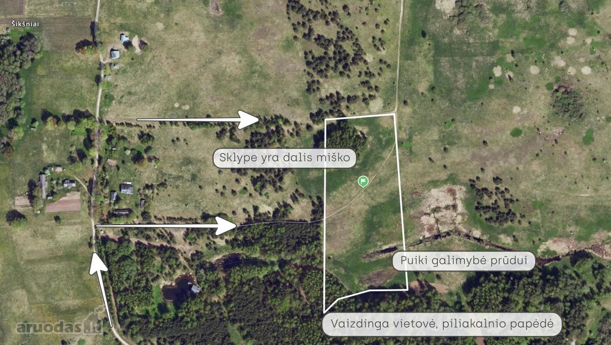 Parduodamas 2,90 ha žemės ūkio paskirties