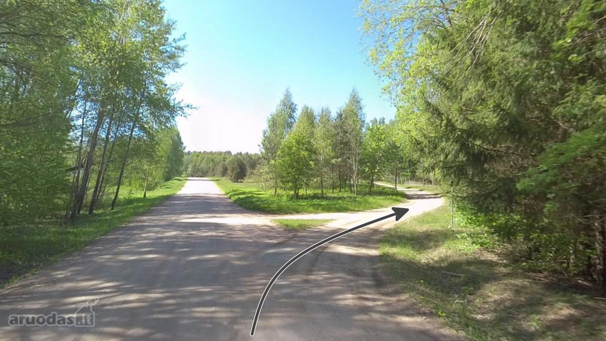 Parduodamas 2,90 ha žemės ūkio paskirties - nuotraukos Nr. 6