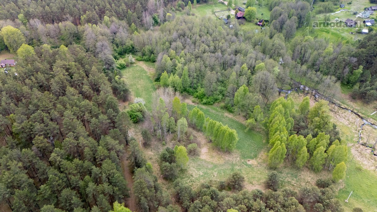 57 A Namų Valdos Sklypas Miško Apsuptyje – - nuotraukos Nr. 14