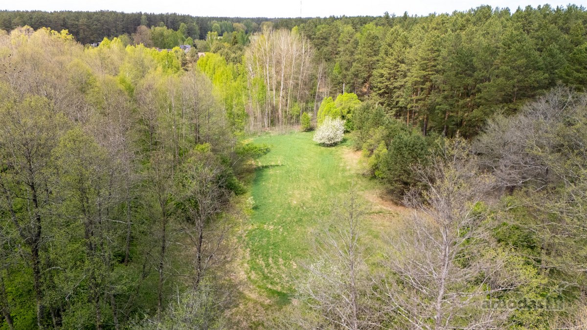 57 A Namų Valdos Sklypas Miško Apsuptyje – - nuotraukos Nr. 13