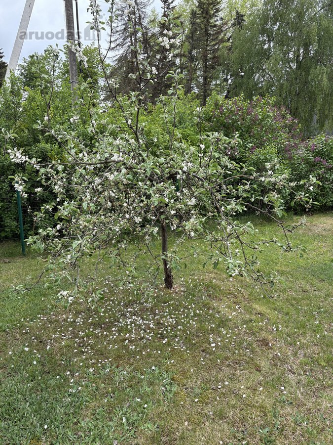 Parduodamas 64 kv. m medinis gyvenamasis - nuotraukos Nr. 16