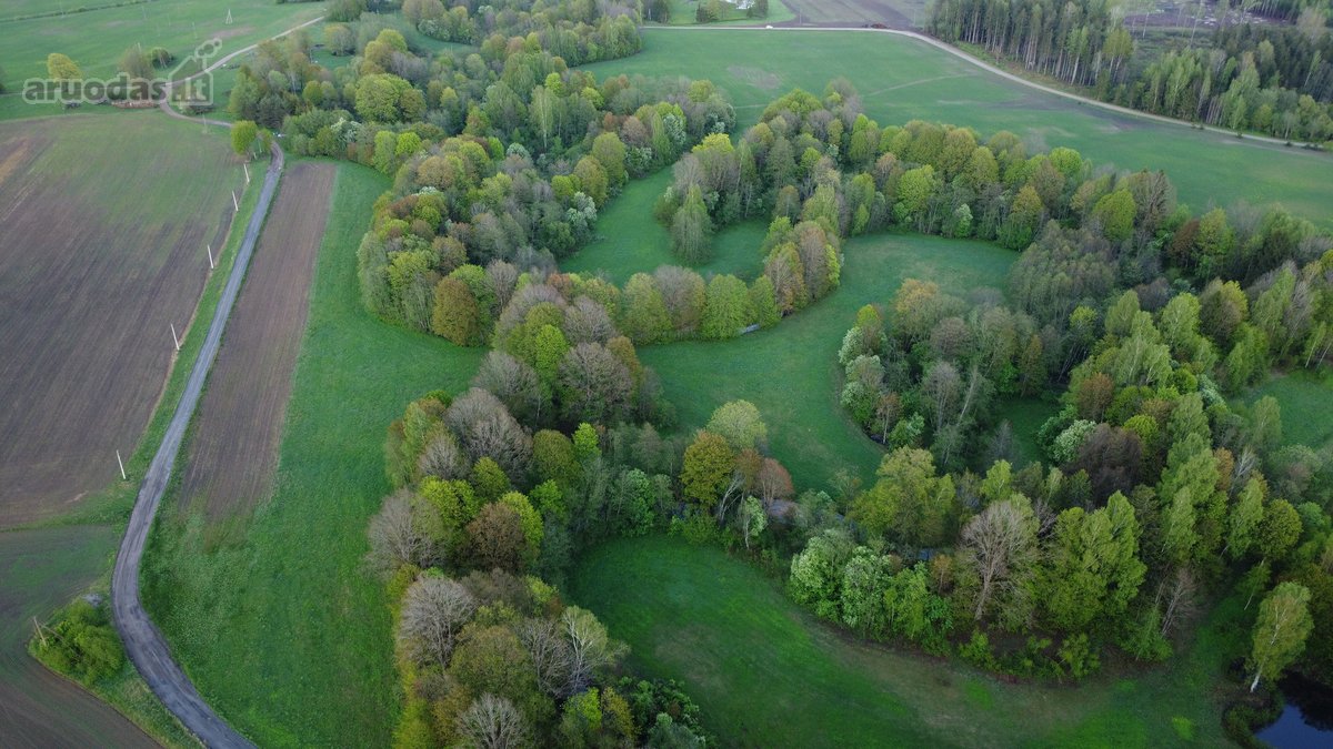 Parduodamas 3,18ha žemės ūkio sklypas - nuotraukos Nr. 4