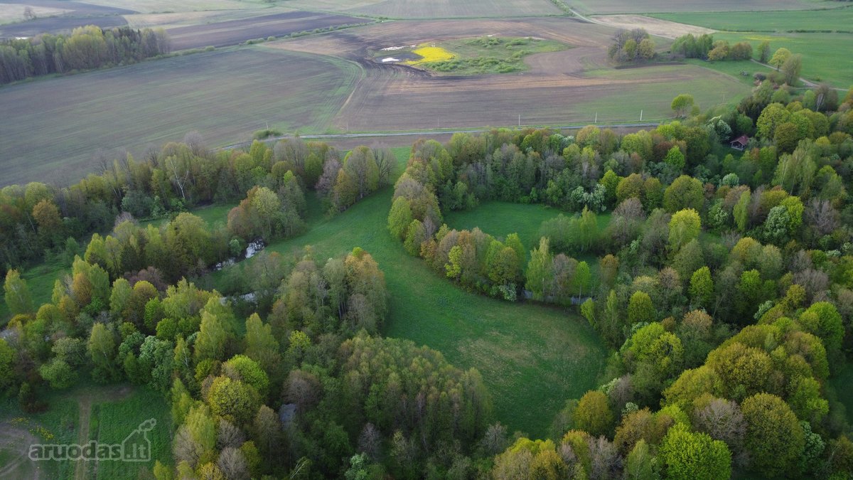 Parduodamas 3,18ha žemės ūkio sklypas - nuotraukos Nr. 5