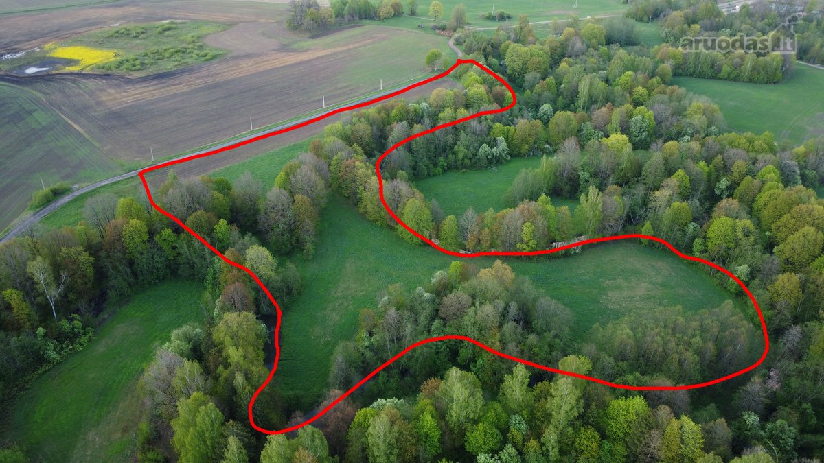 Parduodamas 3,18ha žemės ūkio sklypas - nuotraukos Nr. 6