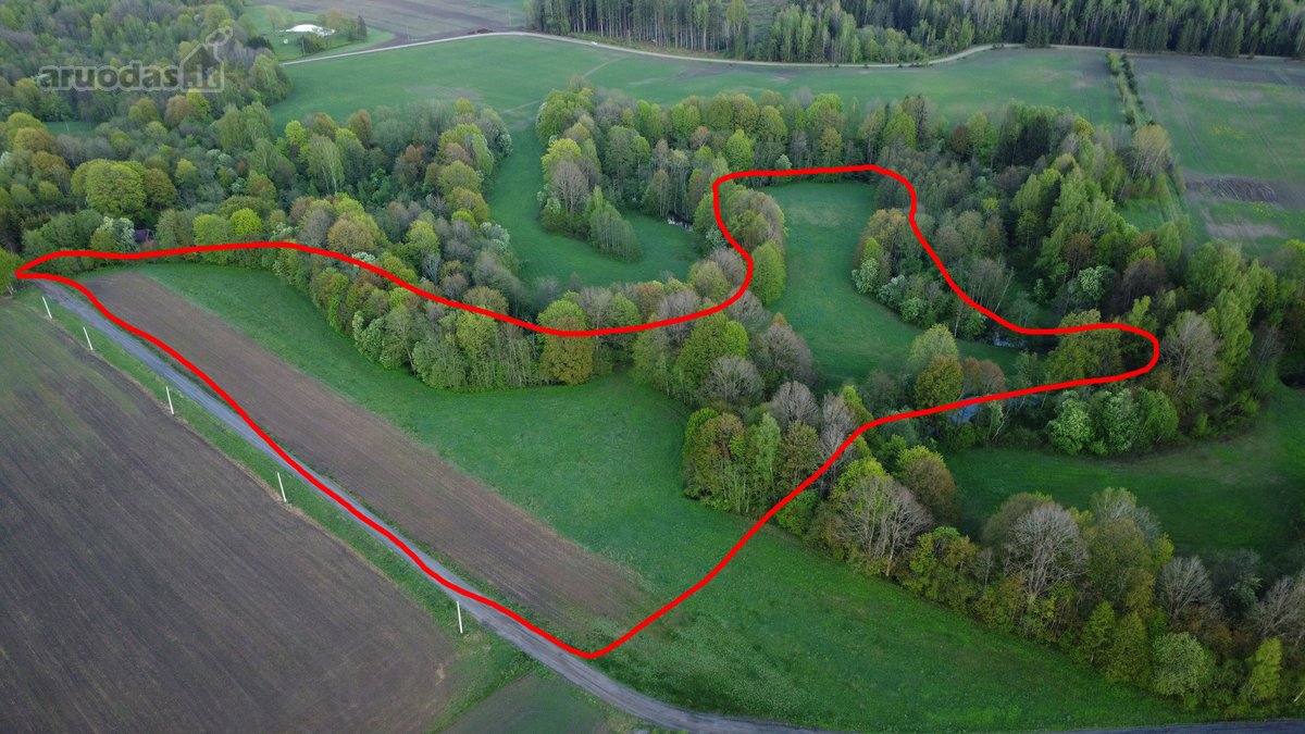 Parduodamas 3,18ha žemės ūkio sklypas - nuotraukos Nr. 7