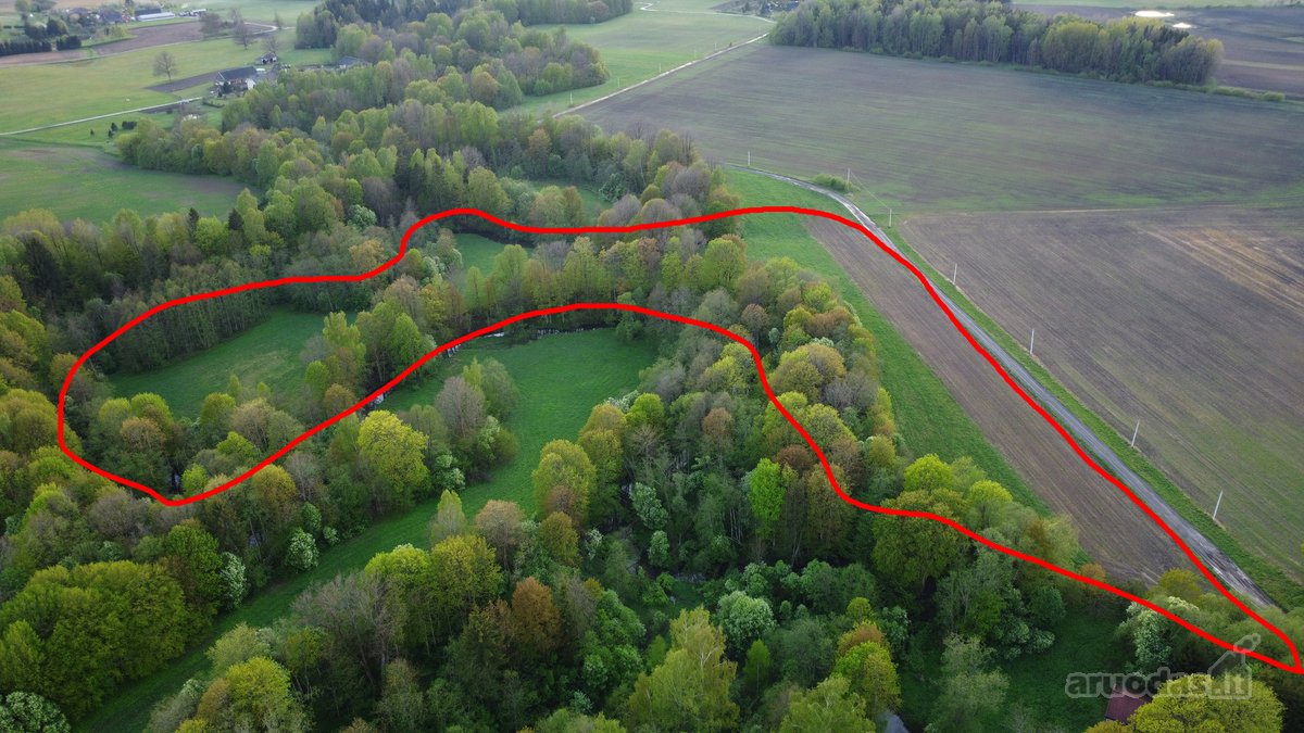 Parduodamas 3,18ha žemės ūkio sklypas - nuotraukos Nr. 8