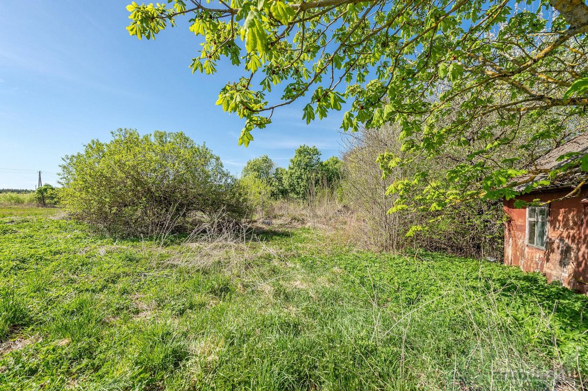 Prienų raj. Pečiauskų kaime parduodama - nuotraukos Nr. 12
