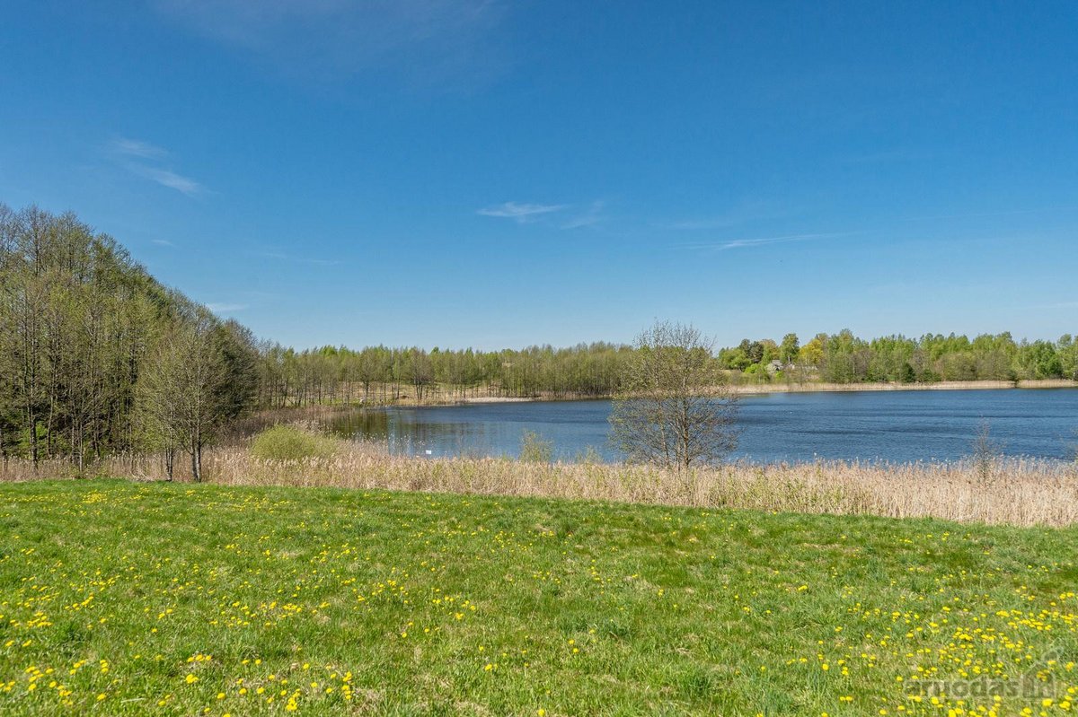 Prienų raj. Pečiauskų kaime parduodama - nuotraukos Nr. 18