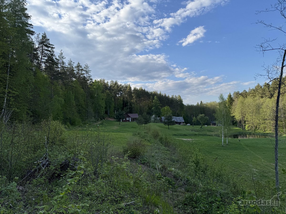 Sklypas unikaliame slėnyje miške(pašaliniams - nuotraukos Nr. 5