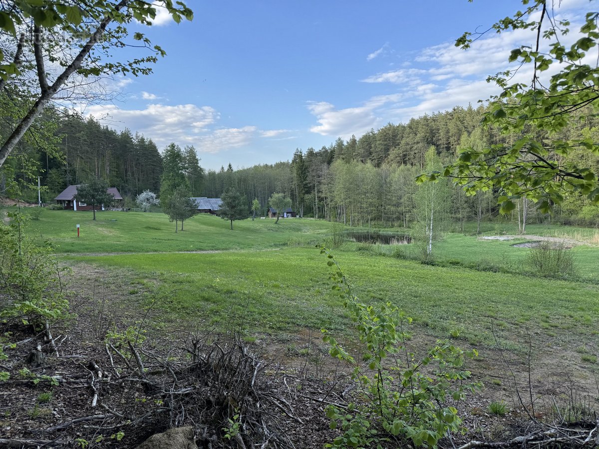 Sklypas unikaliame slėnyje miške(pašaliniams - nuotraukos Nr. 7