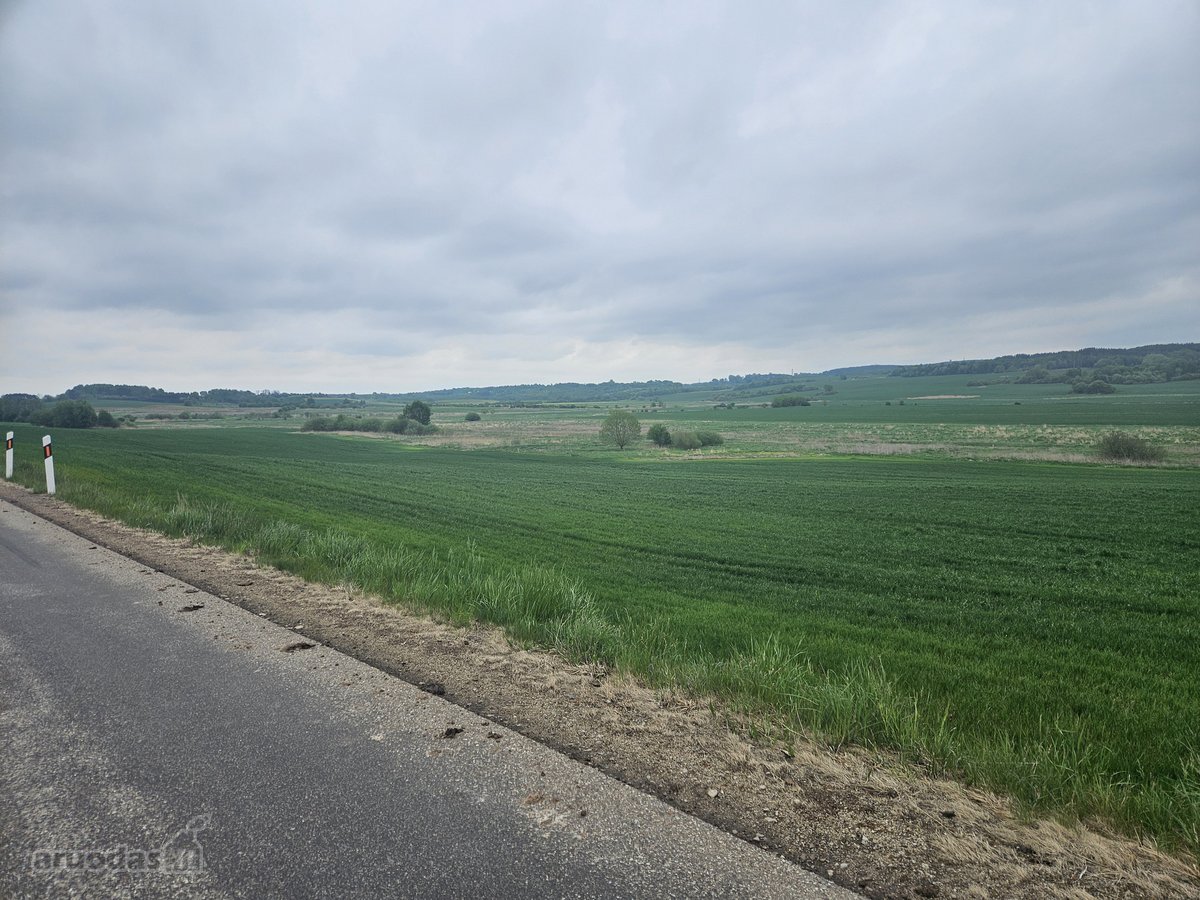 Parduodamas žemės ūkio paskirties sklypas